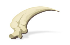 Dragon Bone Claw