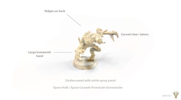 Genestealers – ( Early Purestrain 2nd Edition ) - Image 2