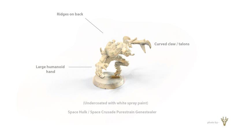 The evolution of Genestealers - space hulk Genestealer undercoated and ready for paint!